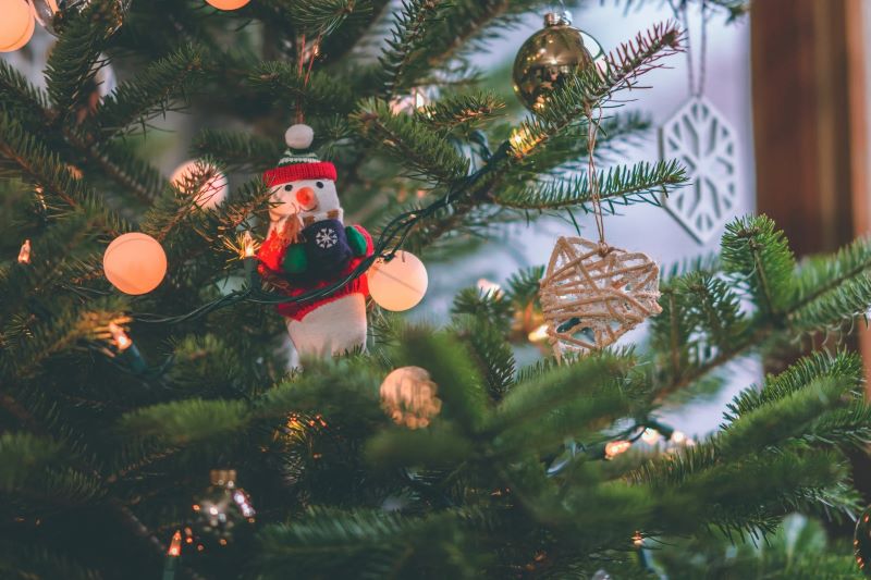 Where To Place Your Christmas Tree This Christmas