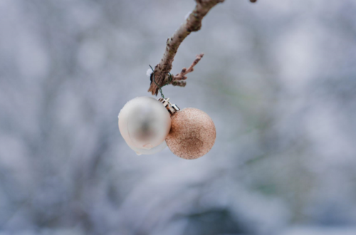 Create Cherished Memories with Ornaments