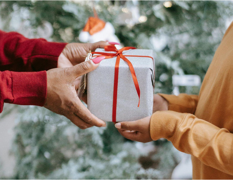 Why the Noble Fir is the King of Christmas Trees